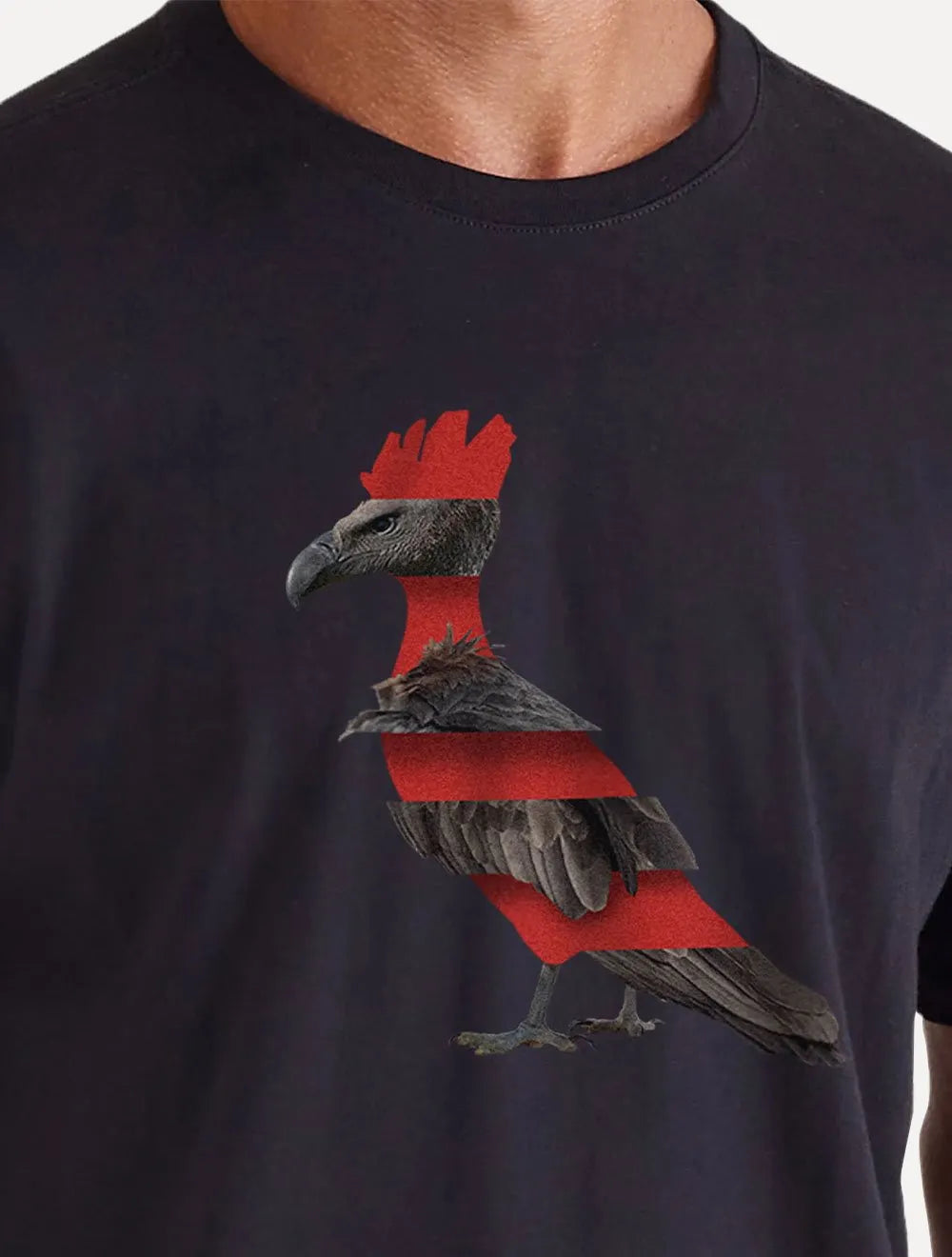 Camiseta Reserva Masculina Estampada Pica Pau Urubu Preta