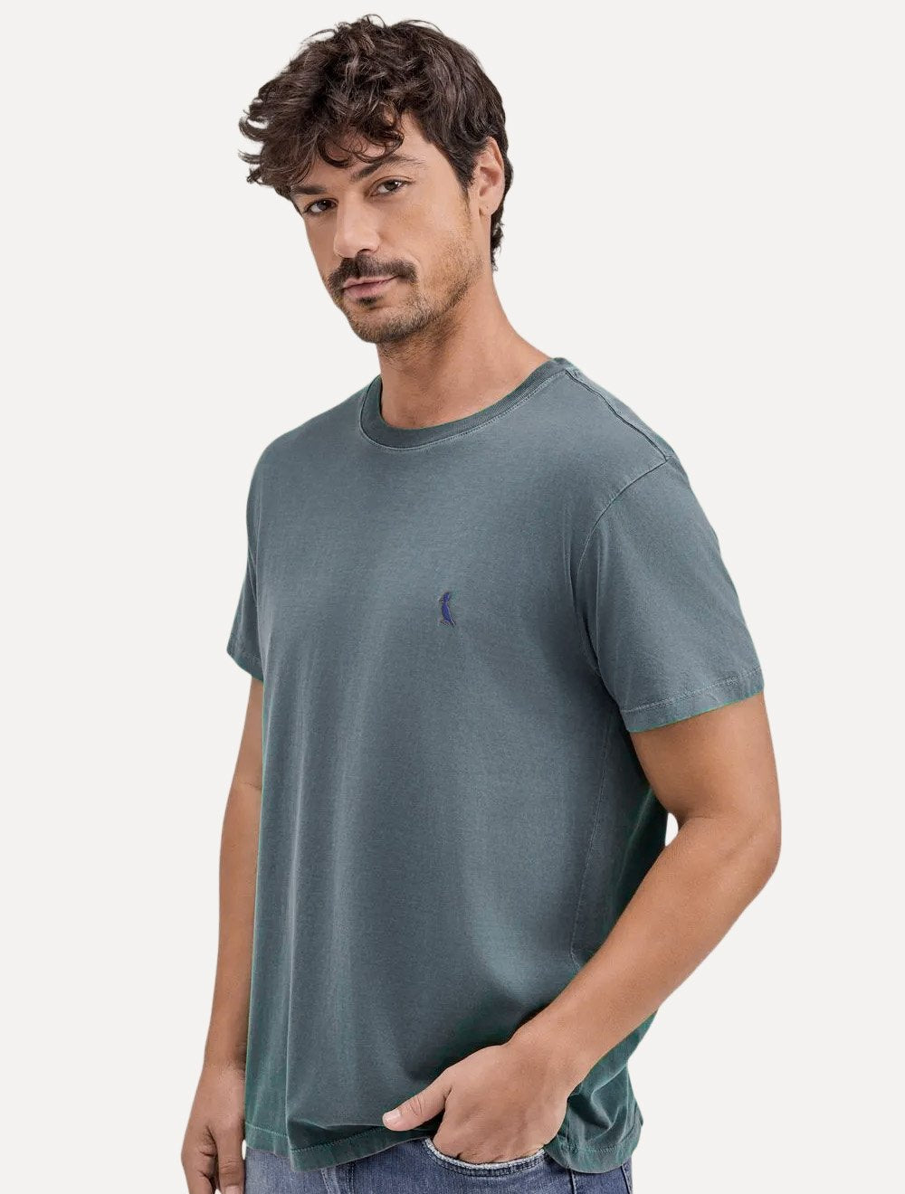 Camiseta Reserva Masculina Basic Blue Woodpecker Stoned Azul Escuro