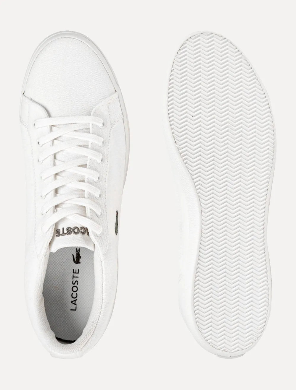 Tênis Lacoste Masculino Lerond CVS Branco