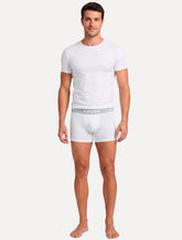 Cueca Levis Boxer Brief Gray Branca Pack 2UN