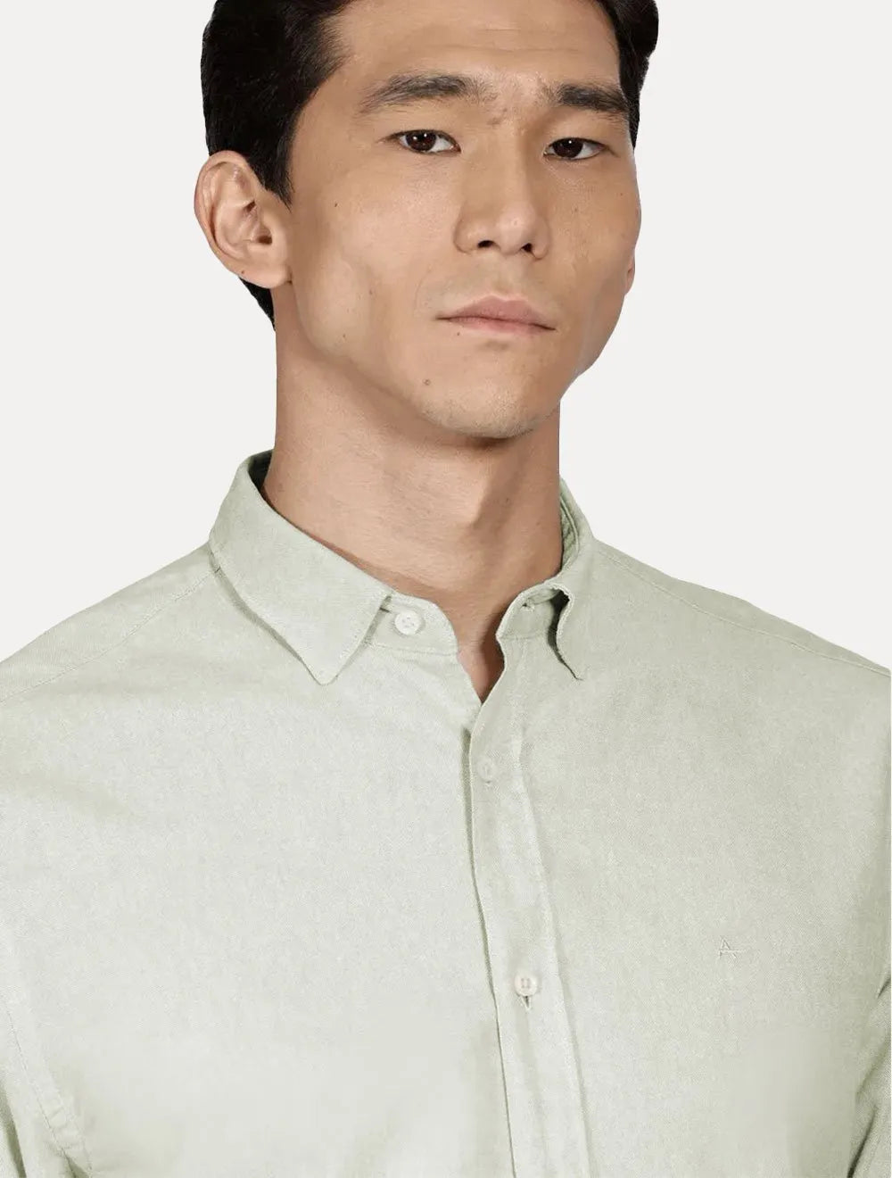 Camisa Aramis Masculina Slim Algodão Willis Verde Claro