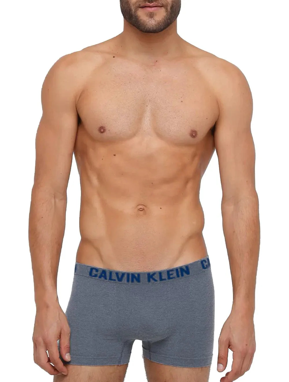 Cuecas Calvin Klein Trunk Seamless Logo Chumbo/Mescla Pack 2UN