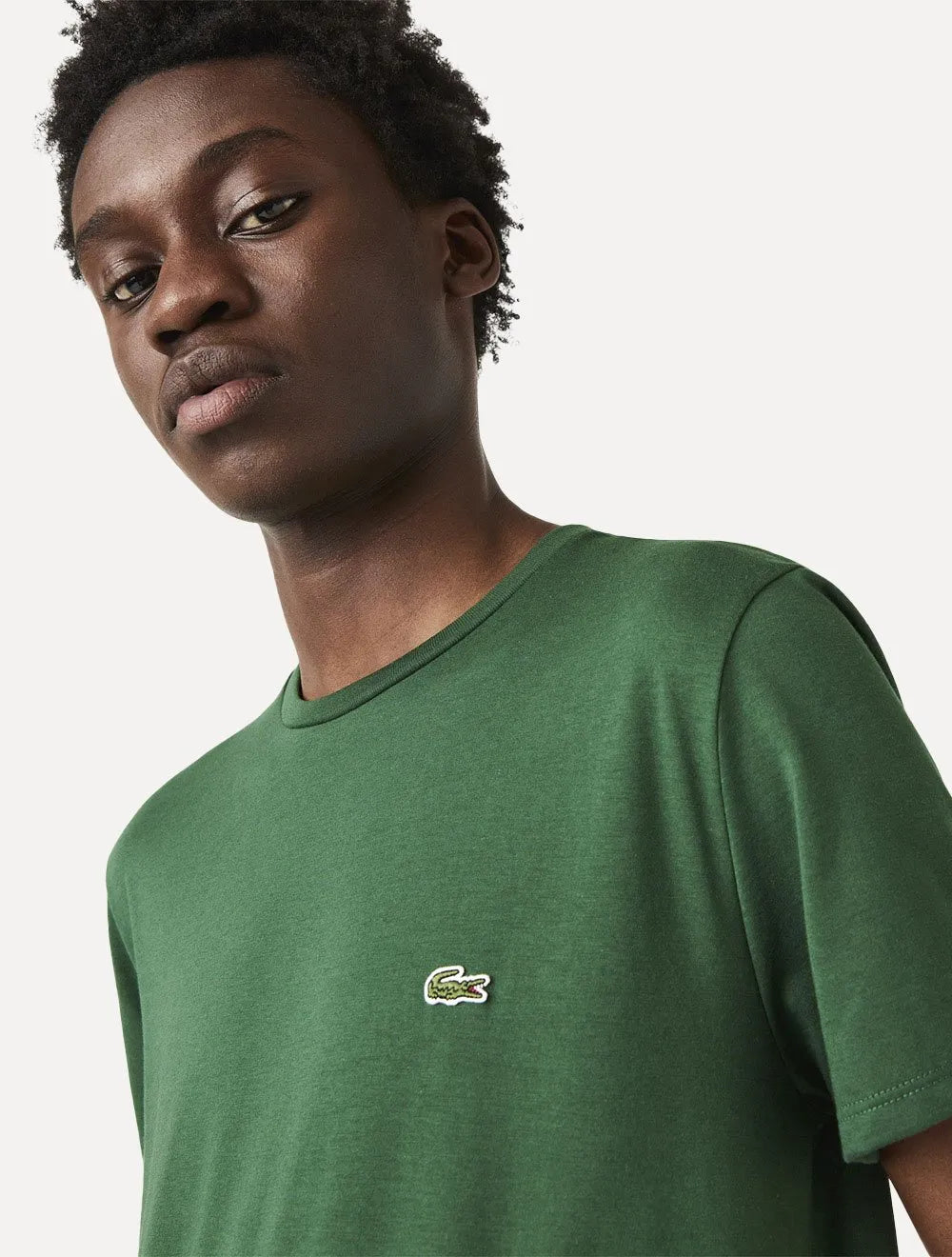Camiseta Lacoste Masculina Jersey Pima Cotton Verde Escuro