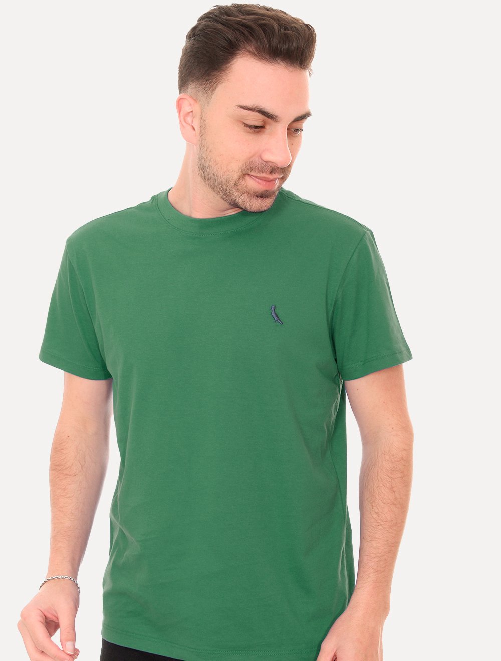 Camiseta Reserva Masculina Basic Navy Woodpecker Verde Bandeira