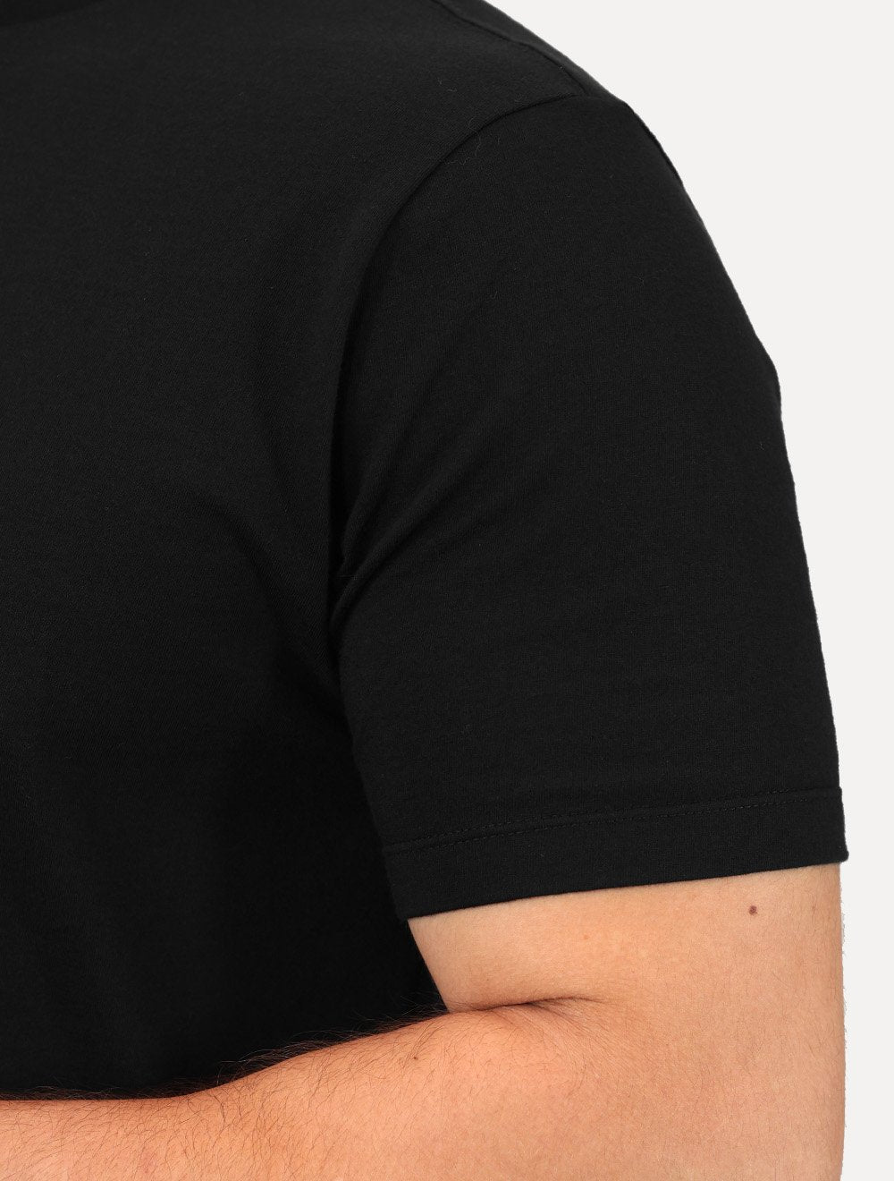 Camiseta Aramis Masculina Regular Minimal Established Preto