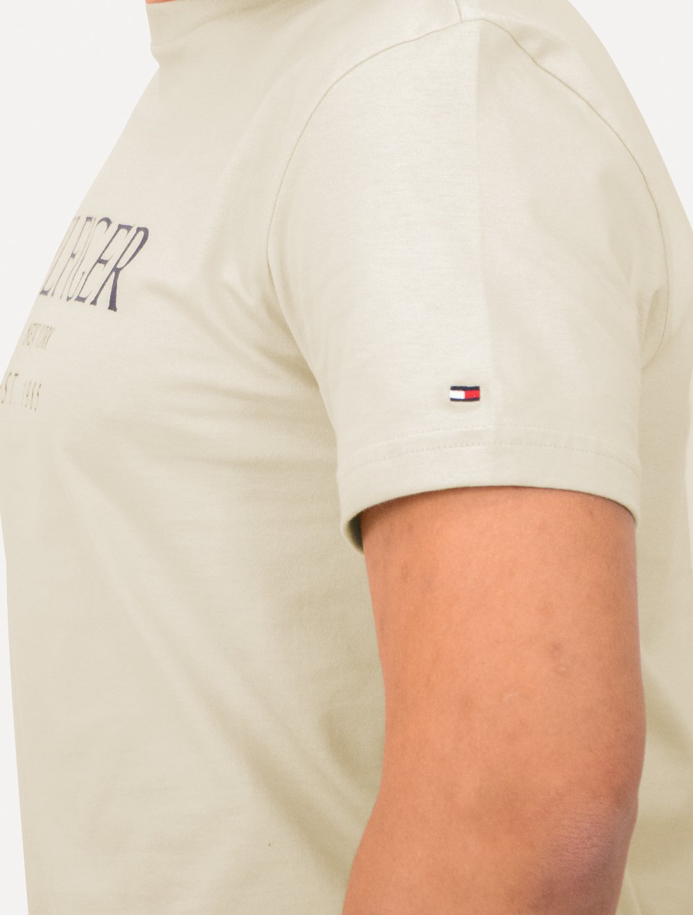 Camiseta Tommy Hilfiger Masculina Big Logo Est.1985 Areia