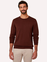 Suéter Dudalina Masculino Tricot Crewneck Basico Marrom