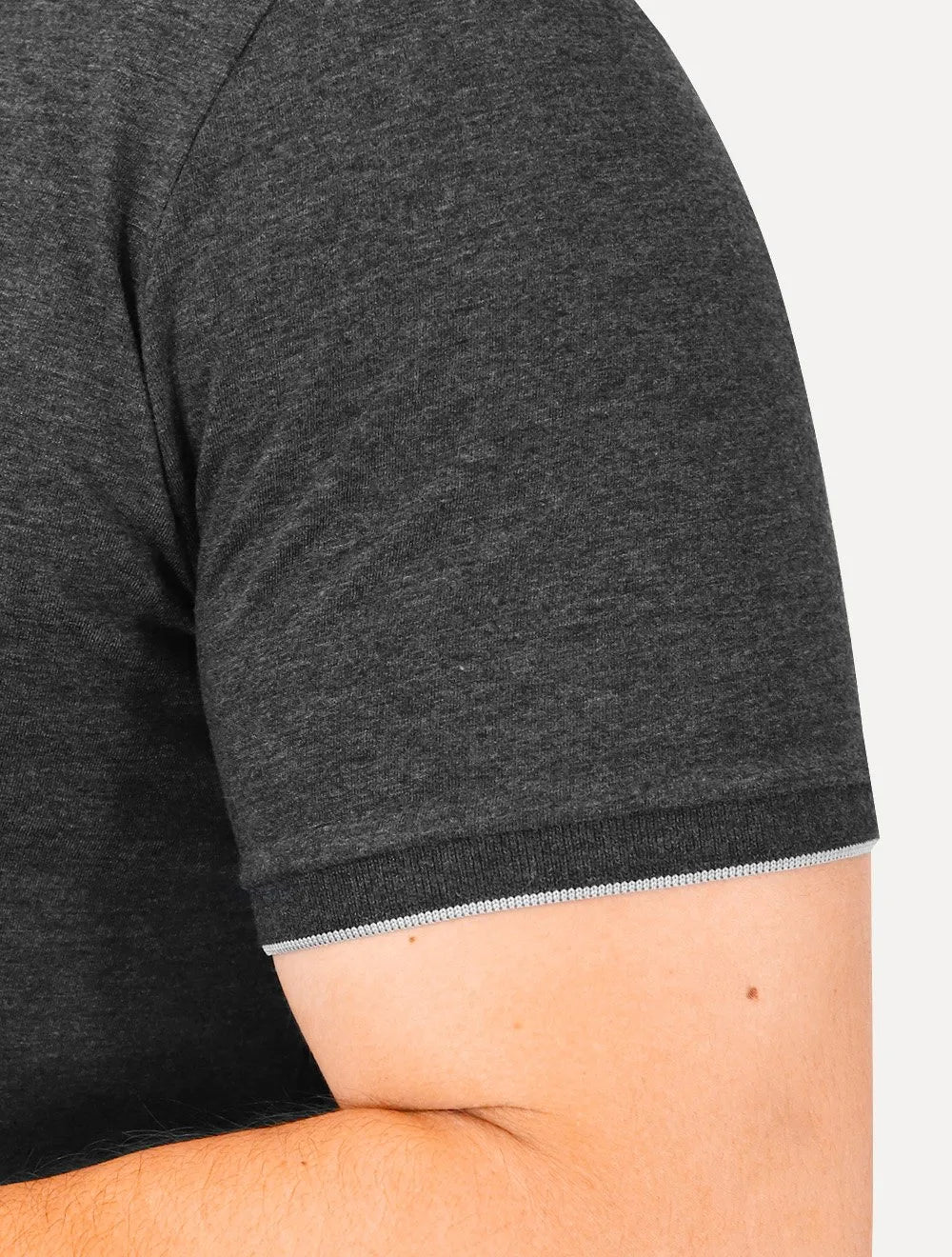 Camiseta Aramis Masculina Grey Friso Gola Grafite Mescla