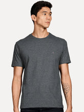 Camiseta Aramis Masculina Basic Light Logo Lisa Grafite