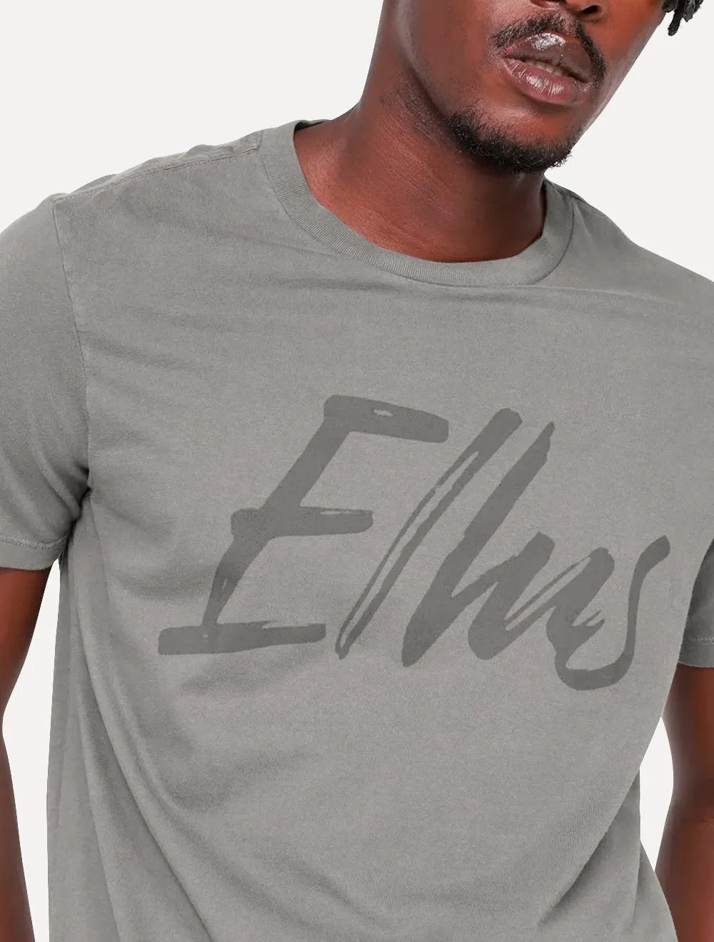 Camiseta Ellus Masculina Maxi Logo Classic Brush Cinza Médio
