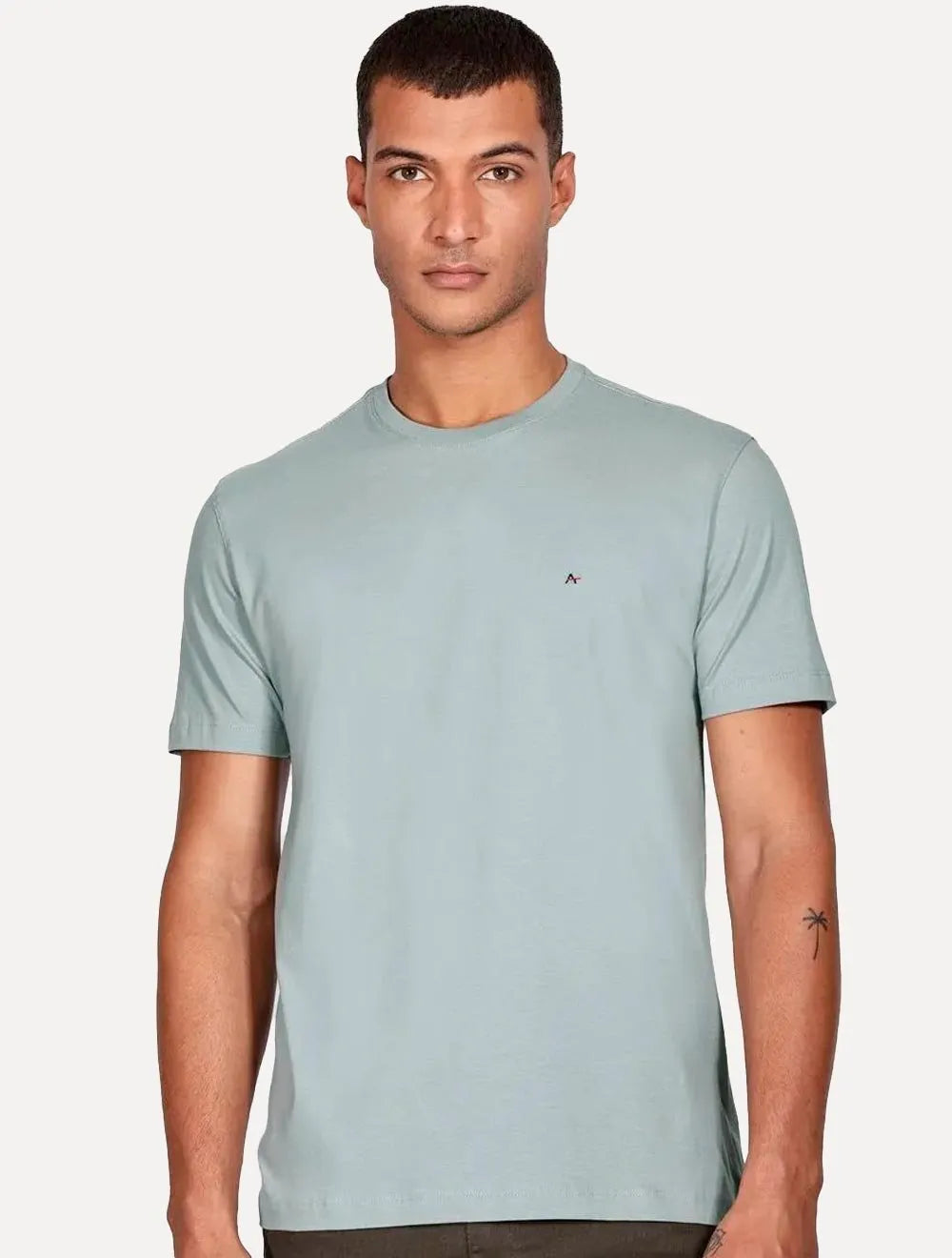 Camiseta Aramis Masculina Basic Lisa Cinza