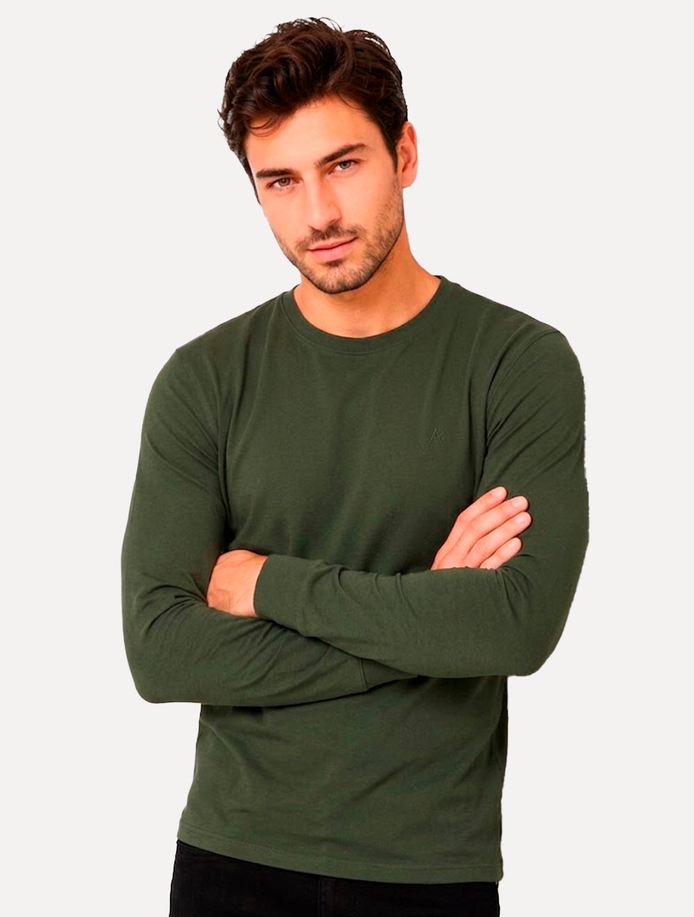 Camiseta Aramis Masculina Basic Lisa Manga Longa Mono Logo Verde Escuro