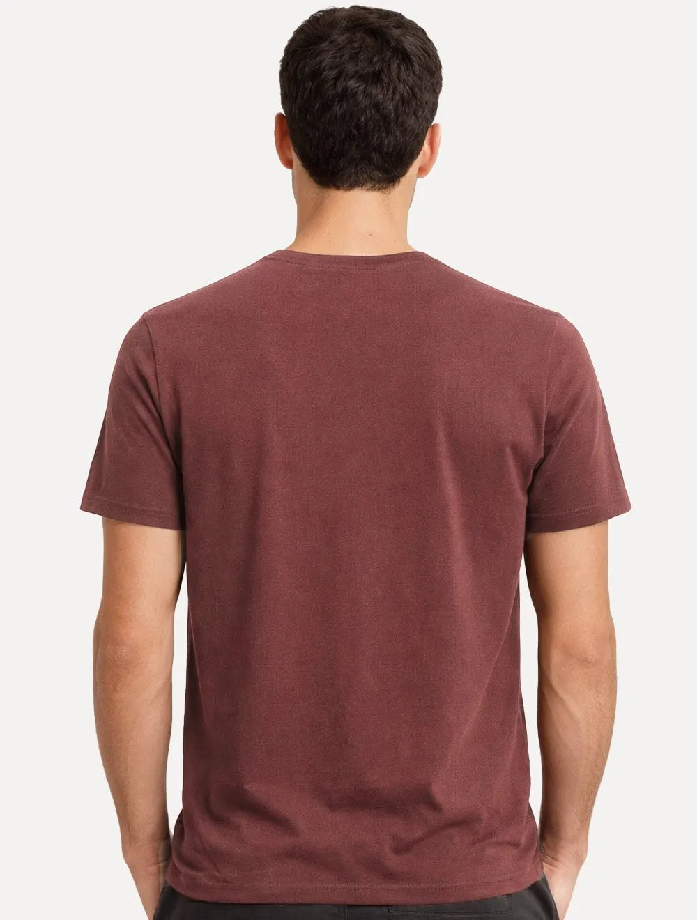 Camiseta John John Masculina Regular Fit Light Transfer Vinho
