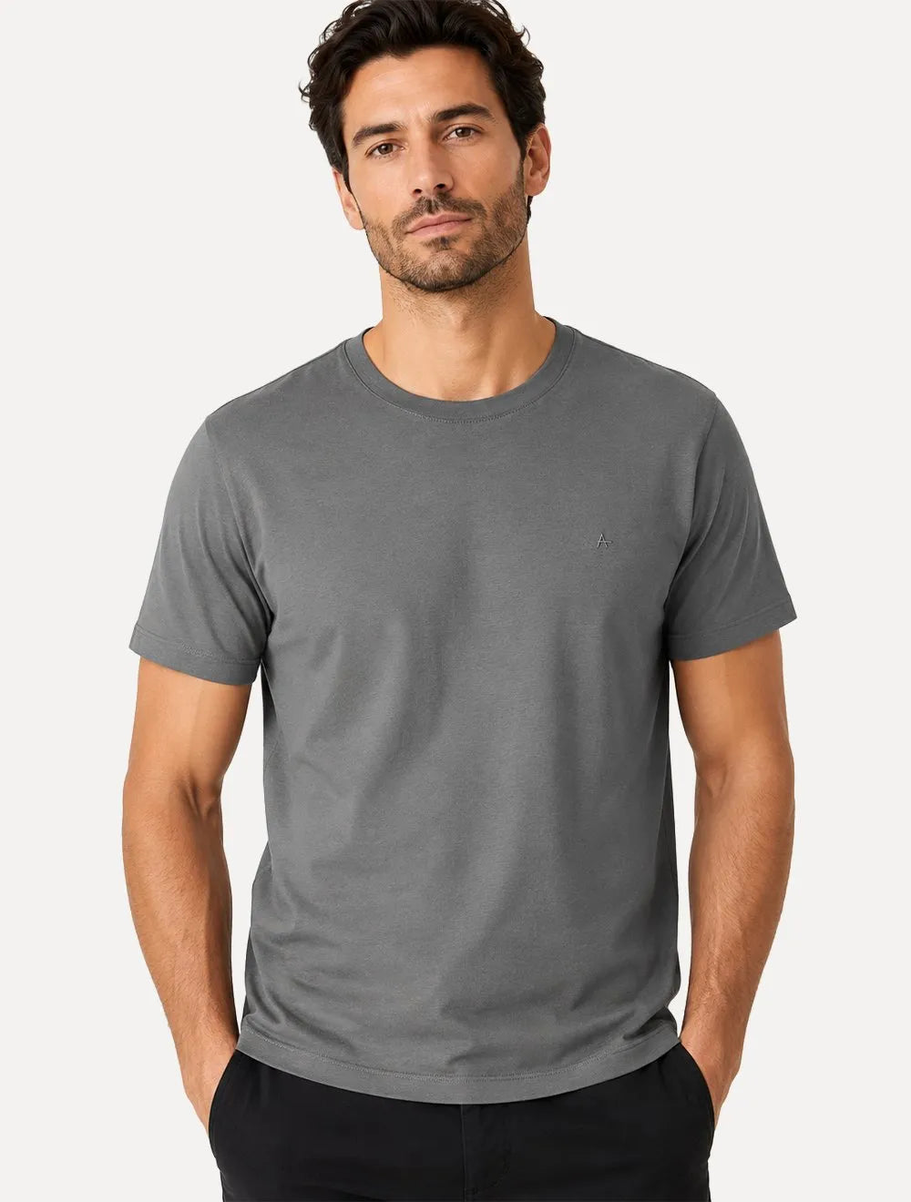 Camiseta Aramis Masculina Basic Lisa Mono Logo Manga Curta Cinza Grafite