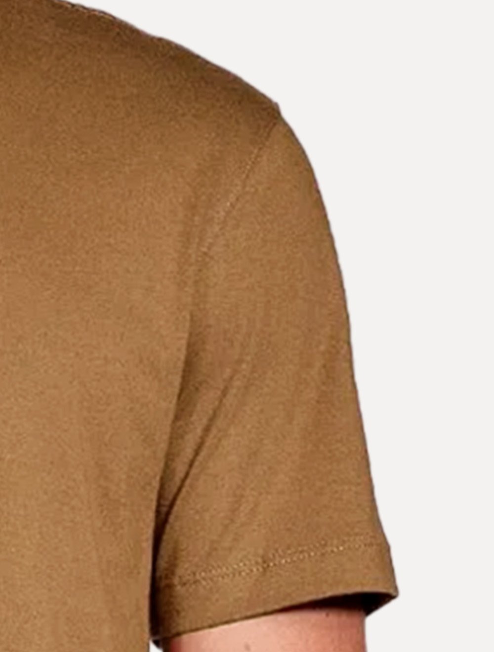 Camiseta Aramis Masculina Basic Lisa Mono Logo Marrom Médio