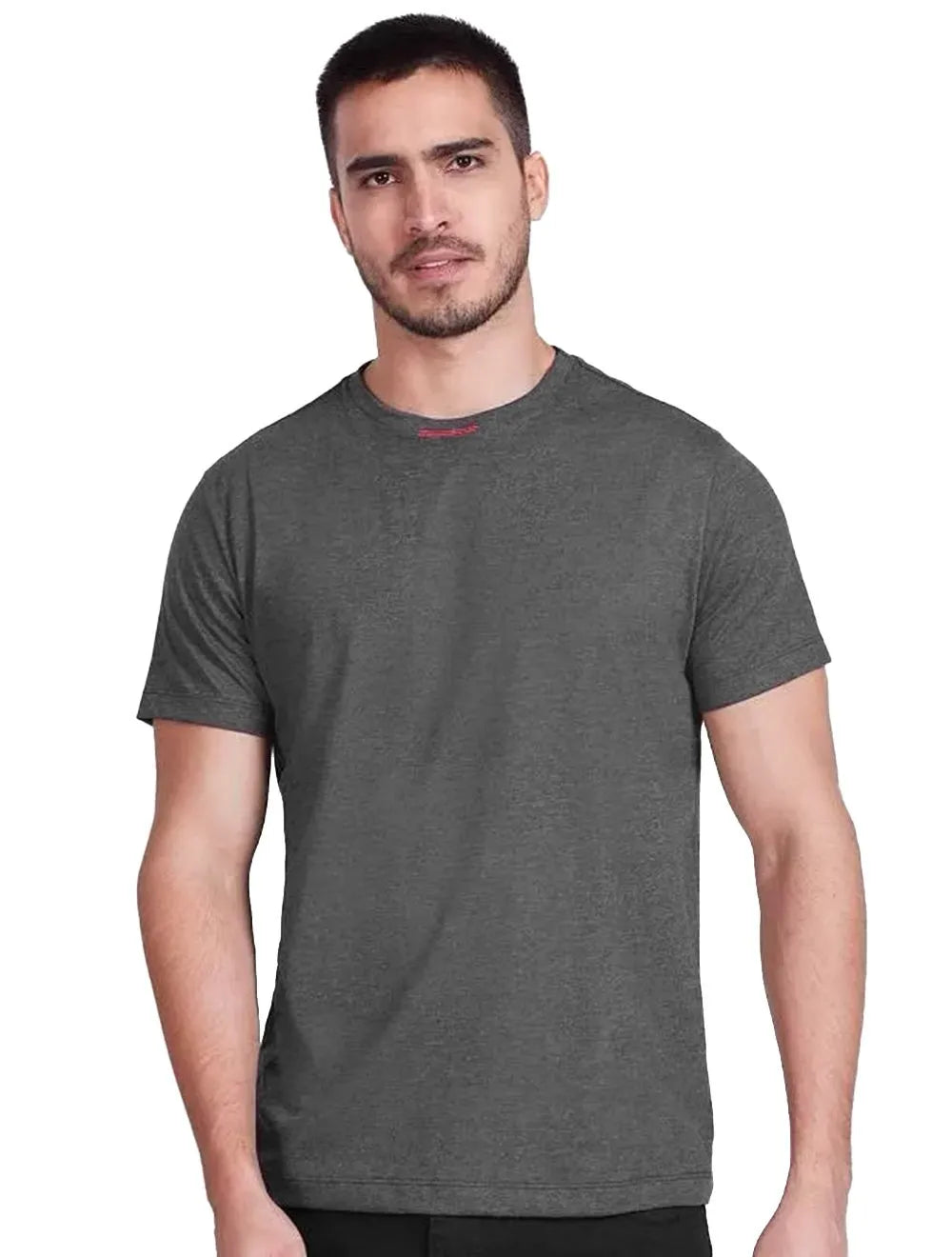 Camiseta Aramis Masculina Lisa Bordado Gola Grafite Mescla
