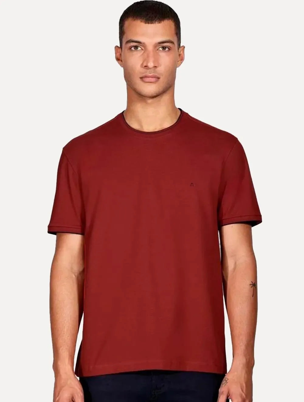 Camiseta Aramis Masculina Navy Friso Gola Vermelho