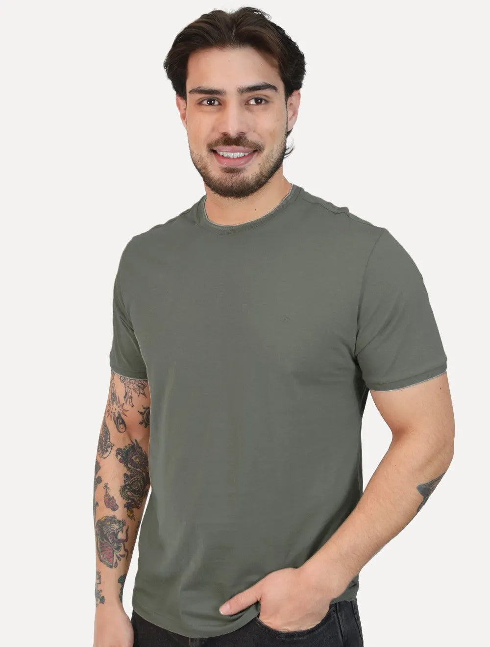 Camiseta Aramis Masculina Grey Friso Gola Logo Verde Opaco