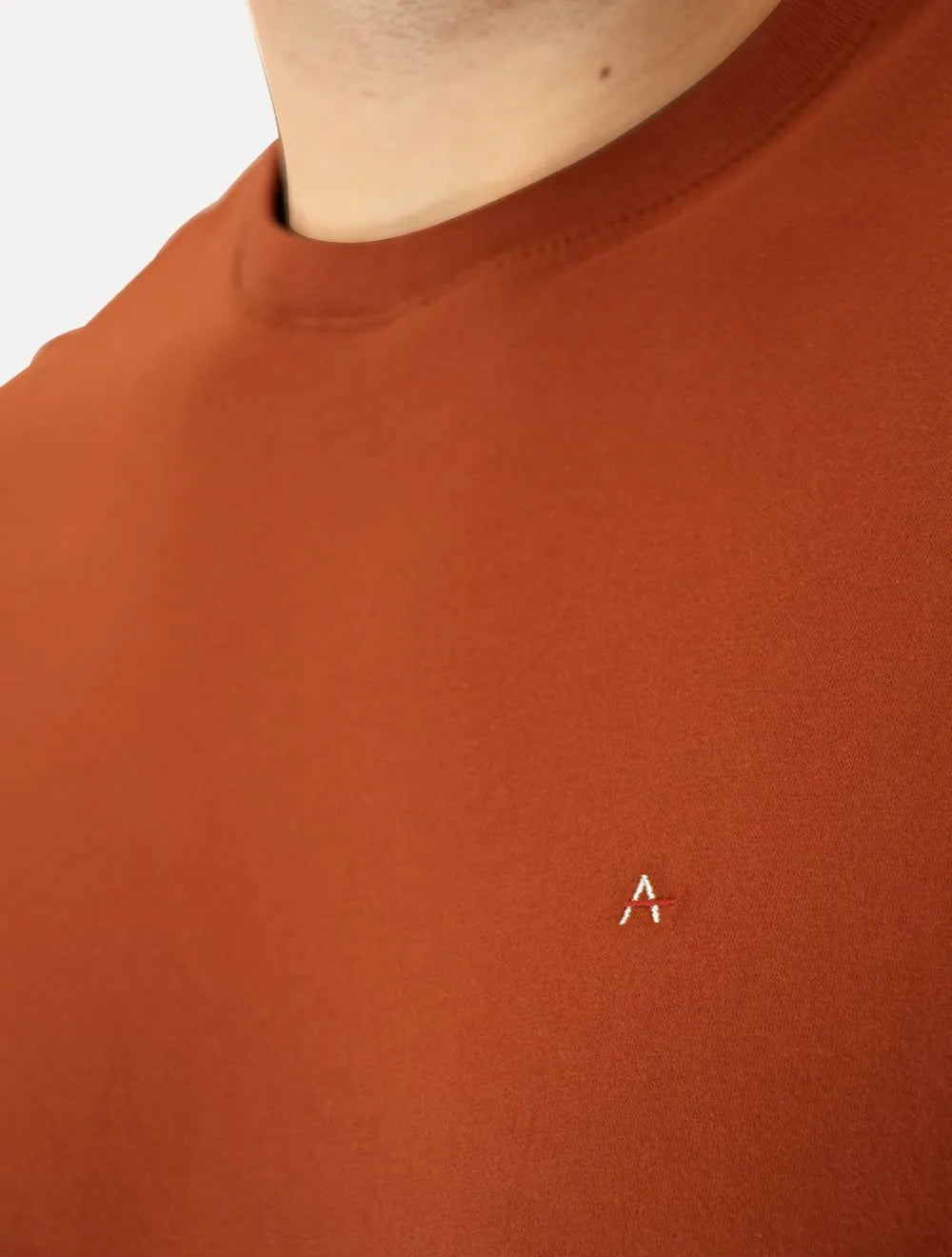 Camiseta Aramis Masculina Basic Lisa Terracota