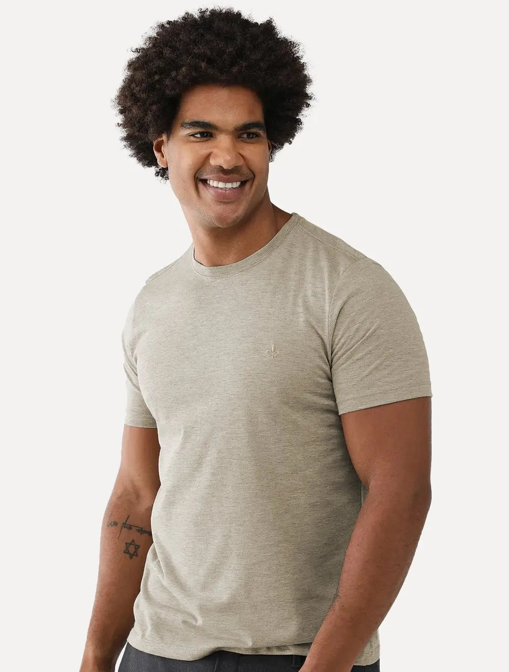 Camiseta Dudalina Masculina Crewneck Listrada Cáqui Médio