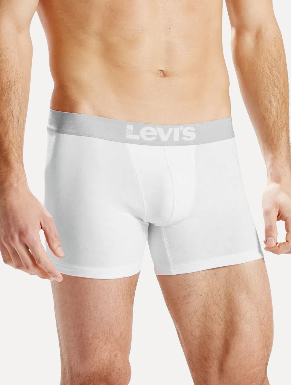 Cueca Levis Boxer Brief Gray Branca Pack 2UN