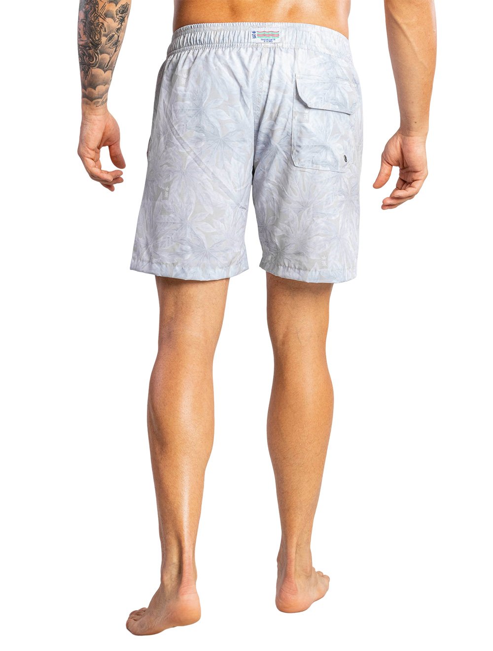 Short Sergio K Masculino D'Água Ice Forest Cinza