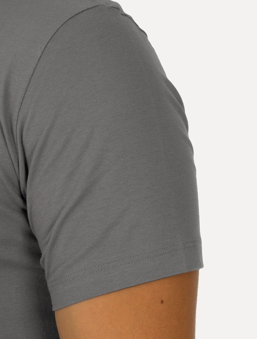 Camiseta Aramis Masculina Regular Natural Process Cinza