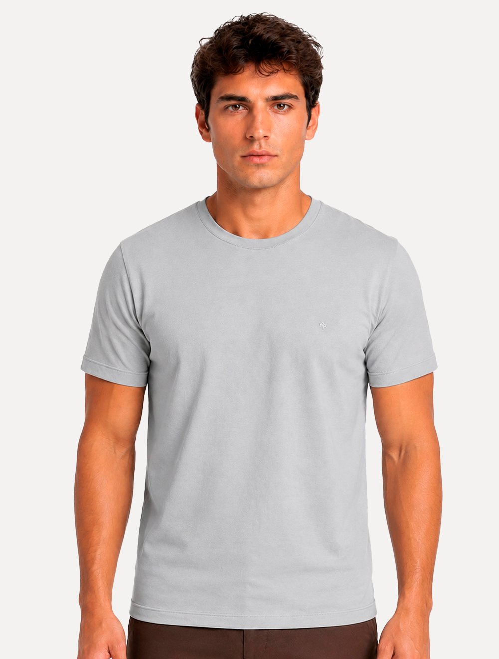 Camiseta Aramis Masculina Basic Lisa Mono Logo Cinza Claro