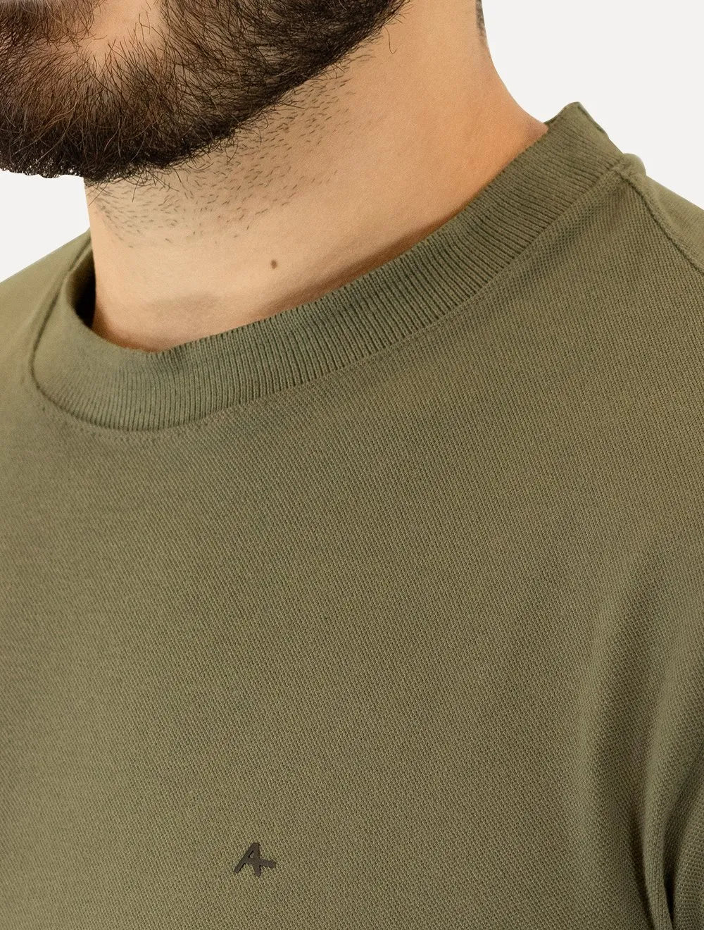 Camiseta Aramis Masculina Regular Piquet Classica Verde Médio