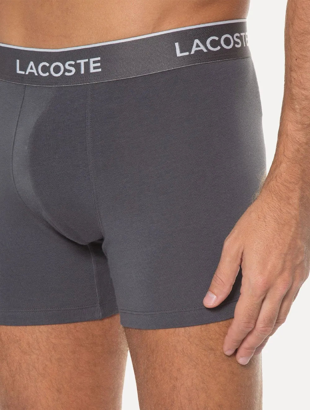 Cuecas Lacoste Boxer Long Colored Lettered Waist Cinza Pack 3UN