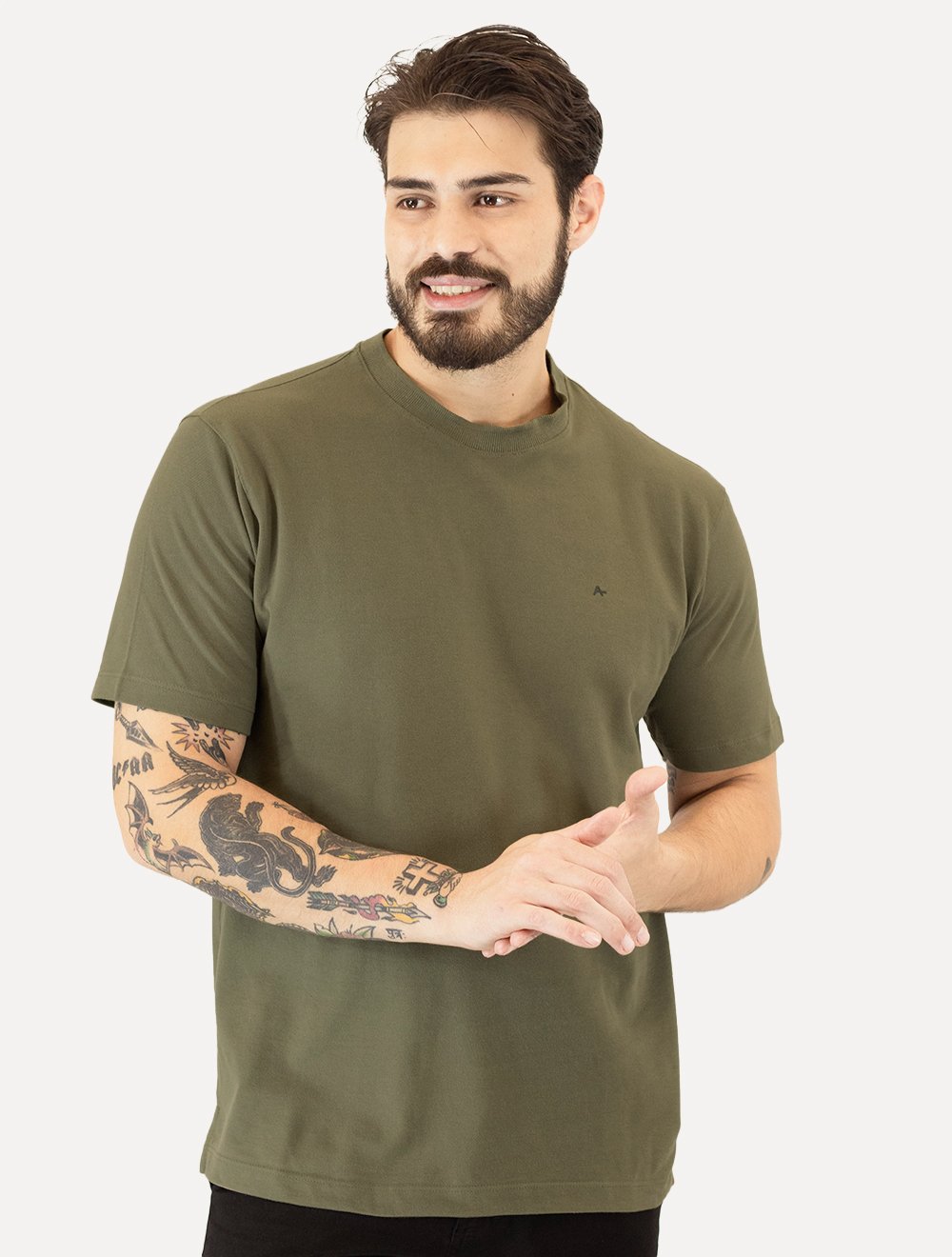 Camiseta Aramis Masculina Regular Piquet Classica Verde Médio