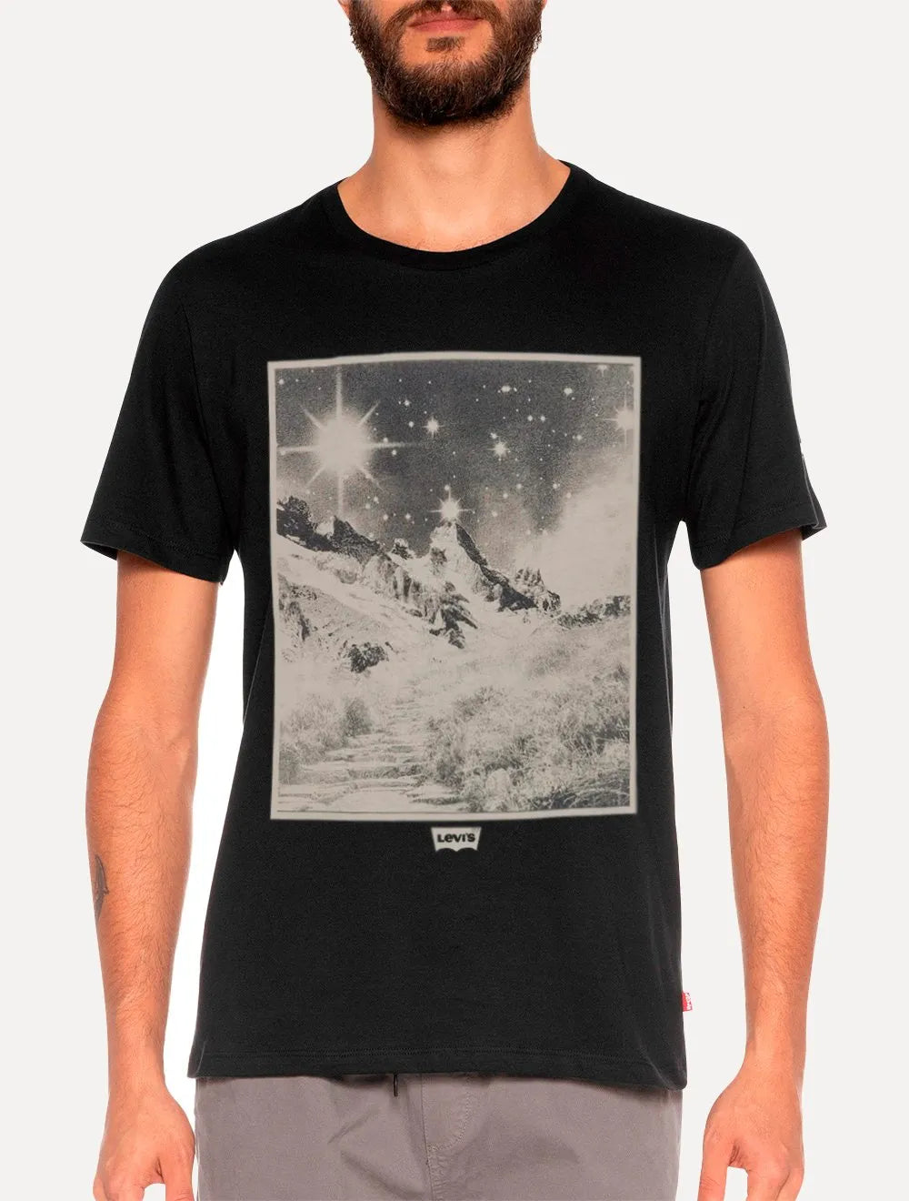 Camiseta Levis Masculina Standard Landscape Graphic Preta