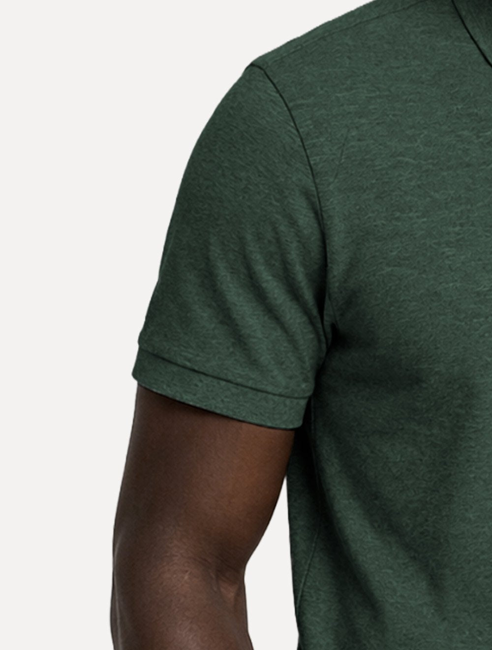 Polo Aramis Masculina Piquet Basic Mescla Mono Logo Verde Intenso