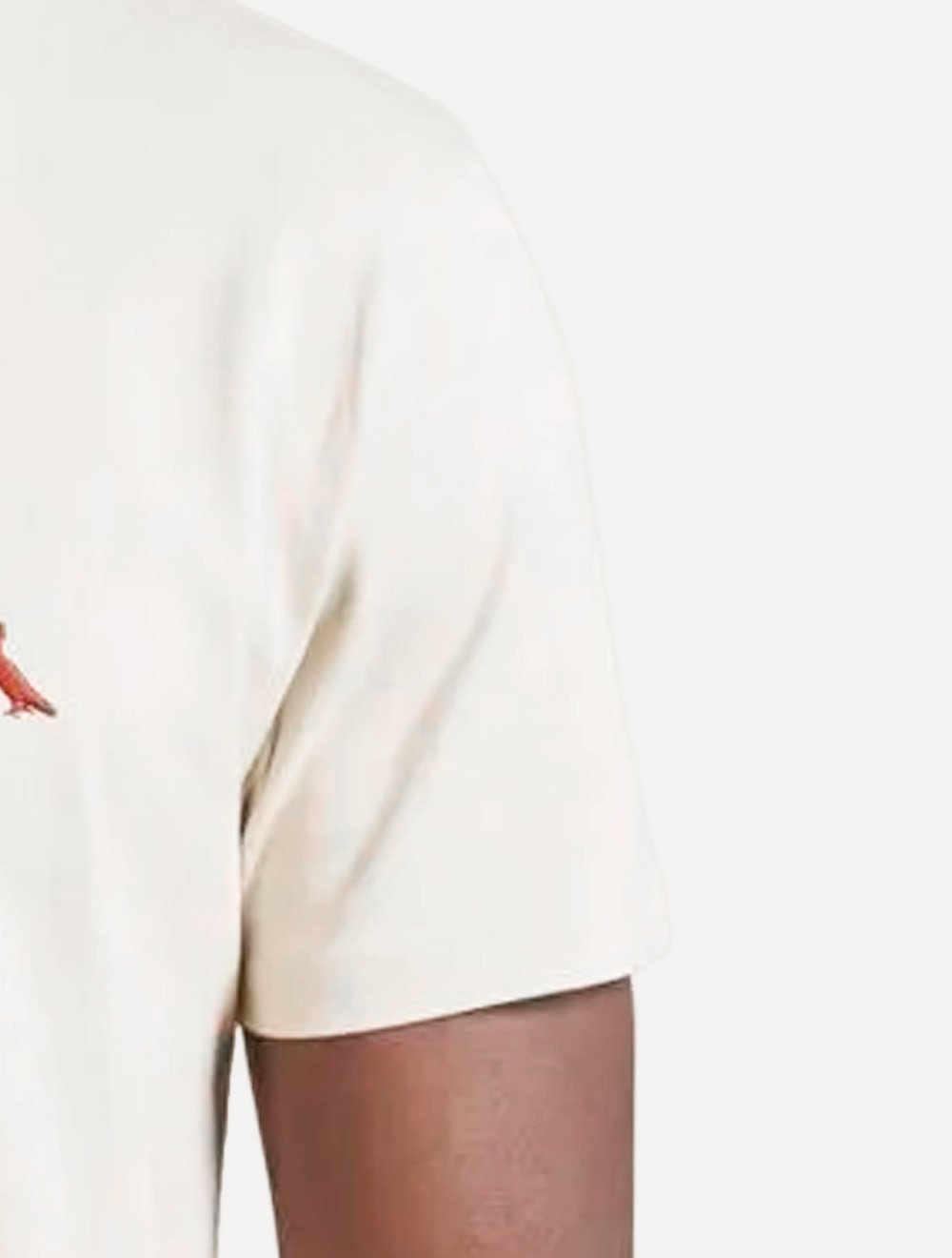 Camiseta Reserva Masculina Basic Red Woodpecker Off White