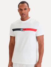 Camiseta Tommy Jeans Masculina Regular Signature Stripe Off-White