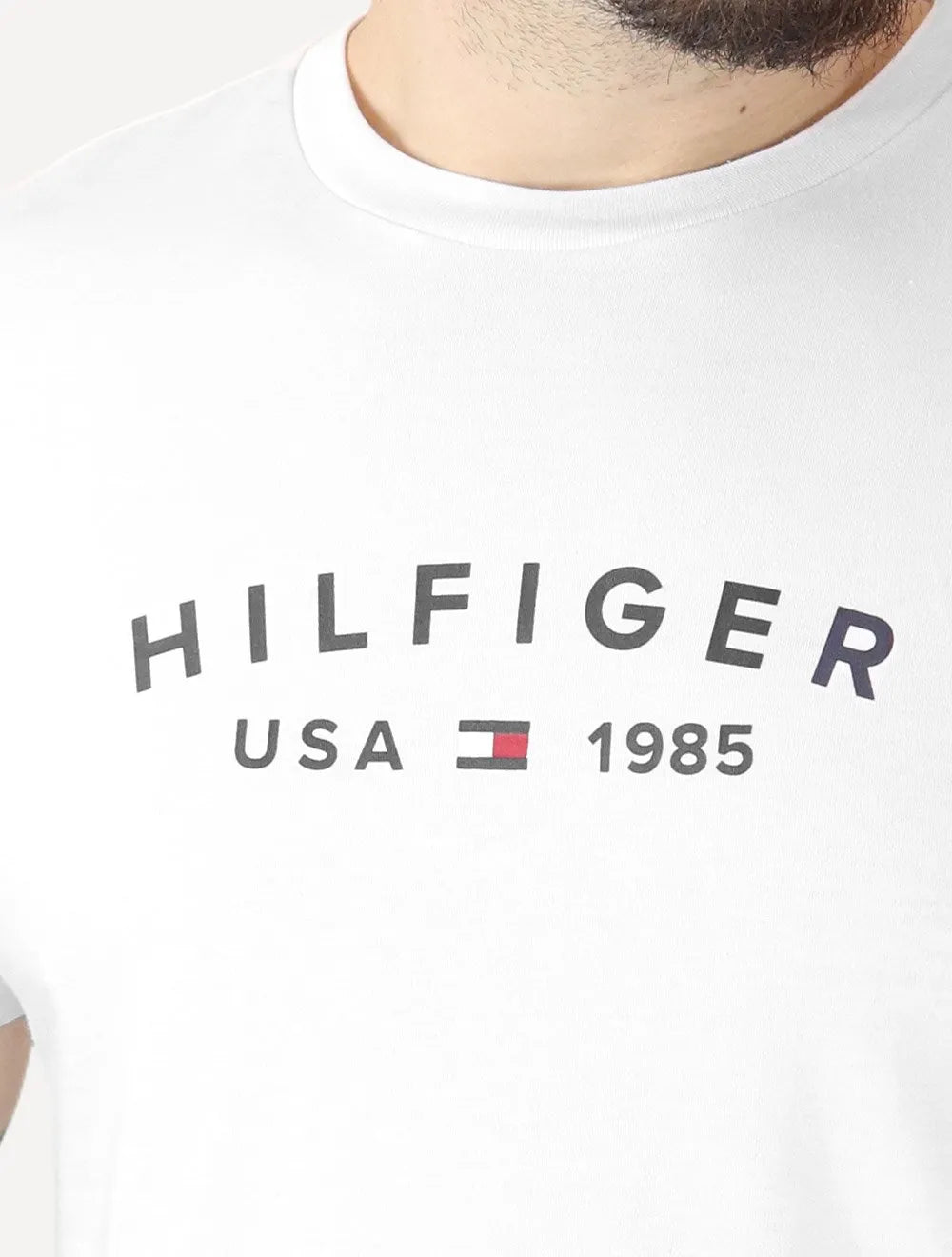 Camiseta Tommy Hilfiger Masculina Fathers Arc USA Branca