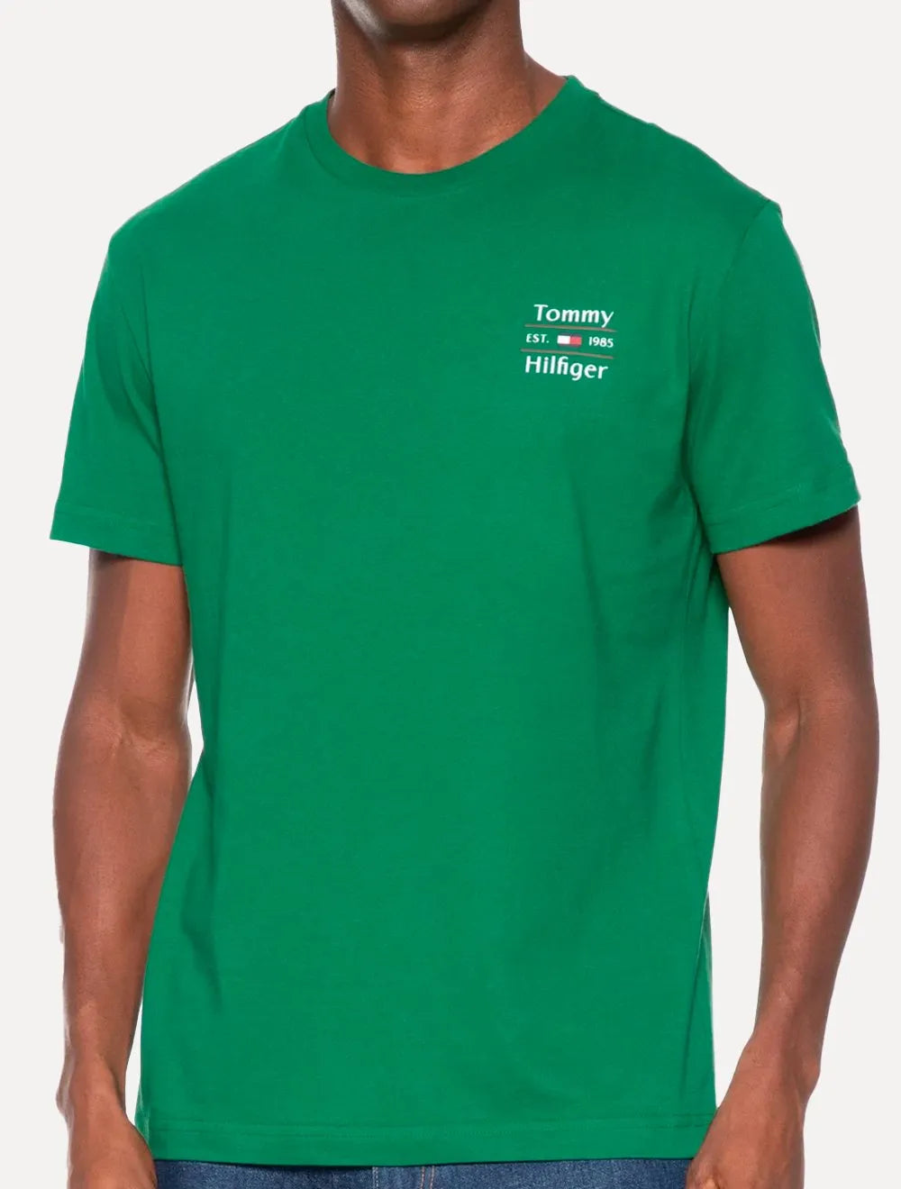Camiseta Tommy Hilfiger Masculina Regular Stack Verde