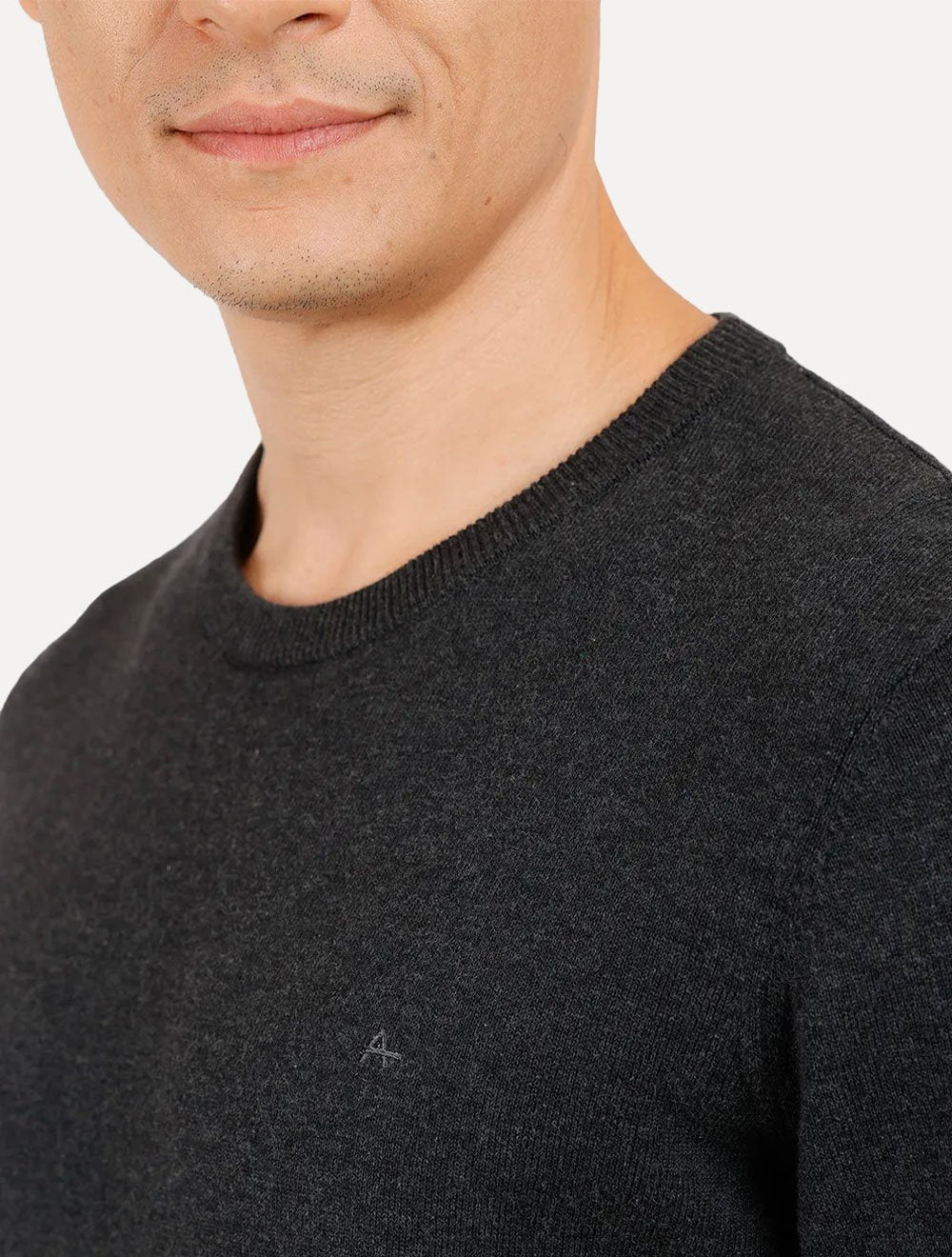 Blusa Aramis Masculina Tricot Gola Careca Grafite Mescla