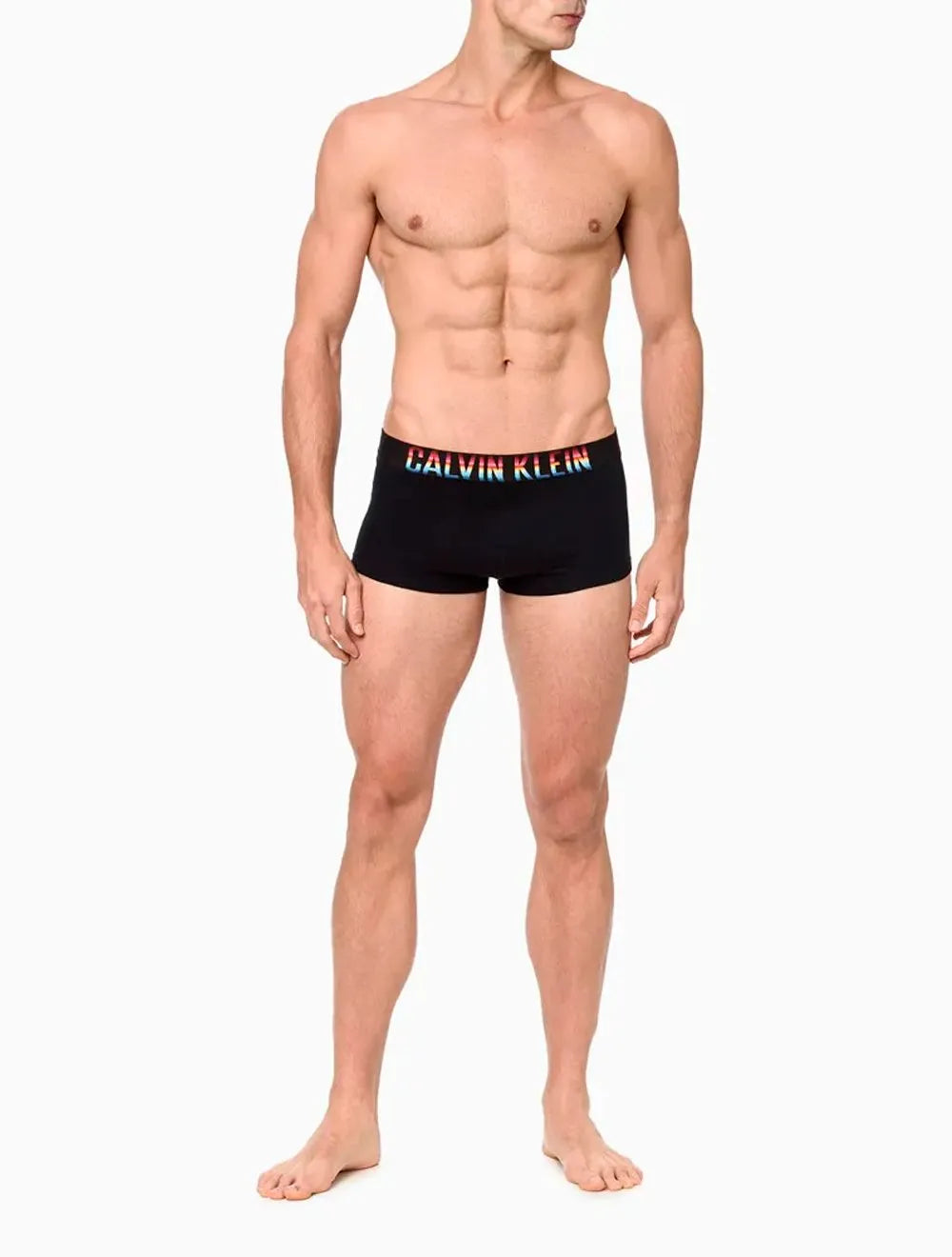 Cueca Calvin Klein Low Rise Trunk Cotton CK Pride Preta 1UN