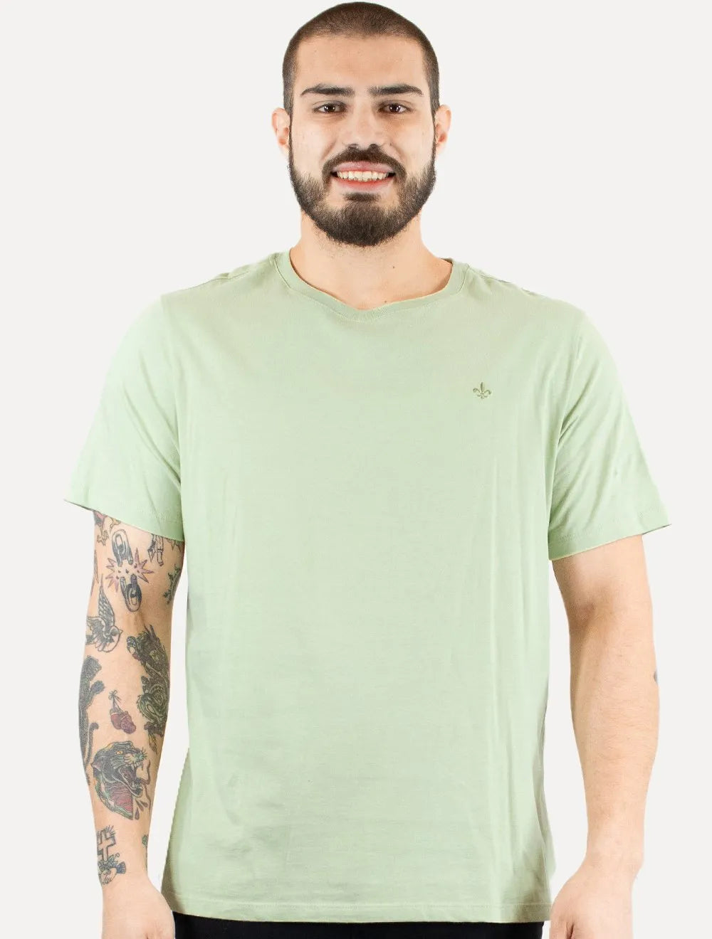 Camiseta Dudalina Masculina Essentials Modal Logo Verde Claro