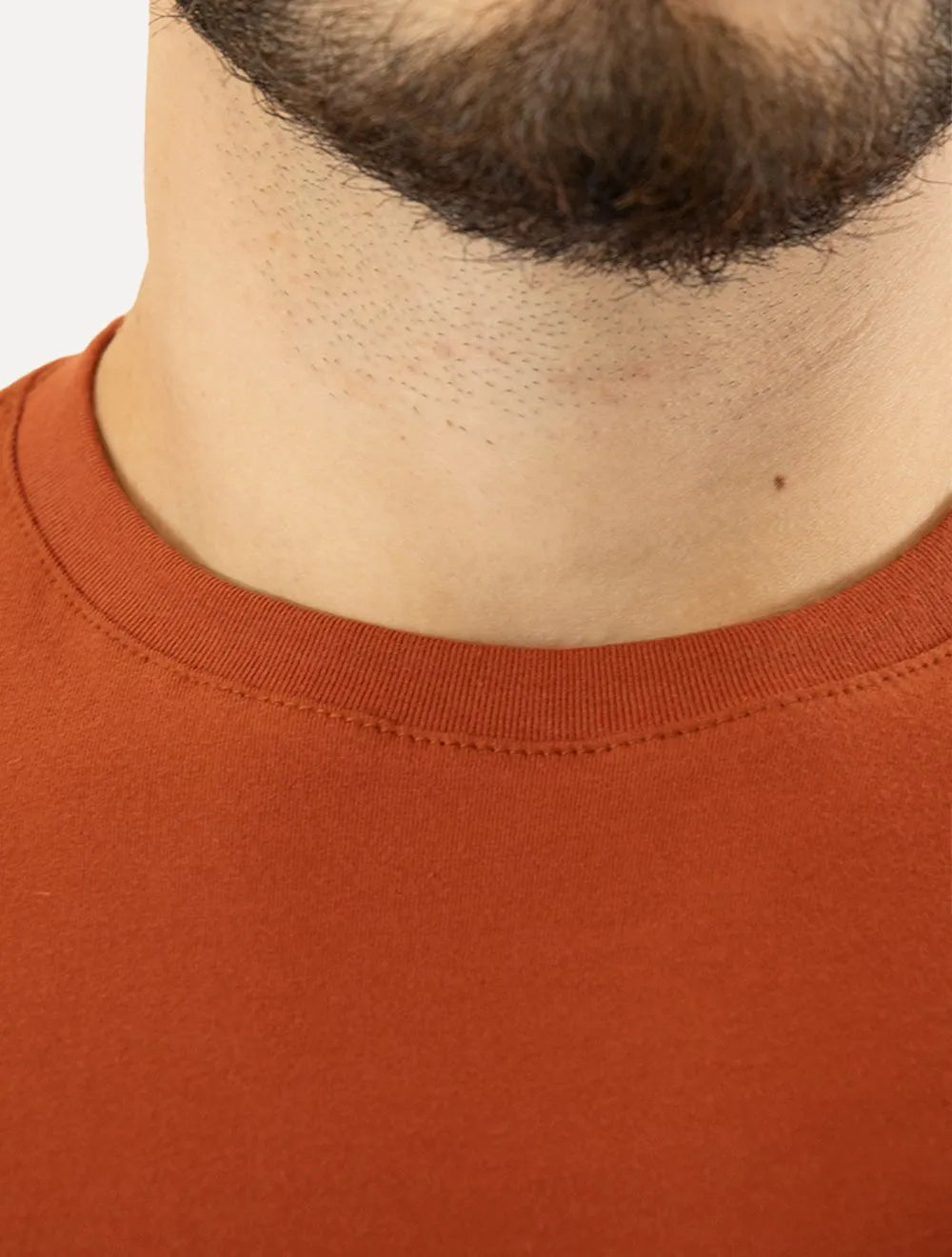 Camiseta Aramis Masculina Basic Lisa Terracota