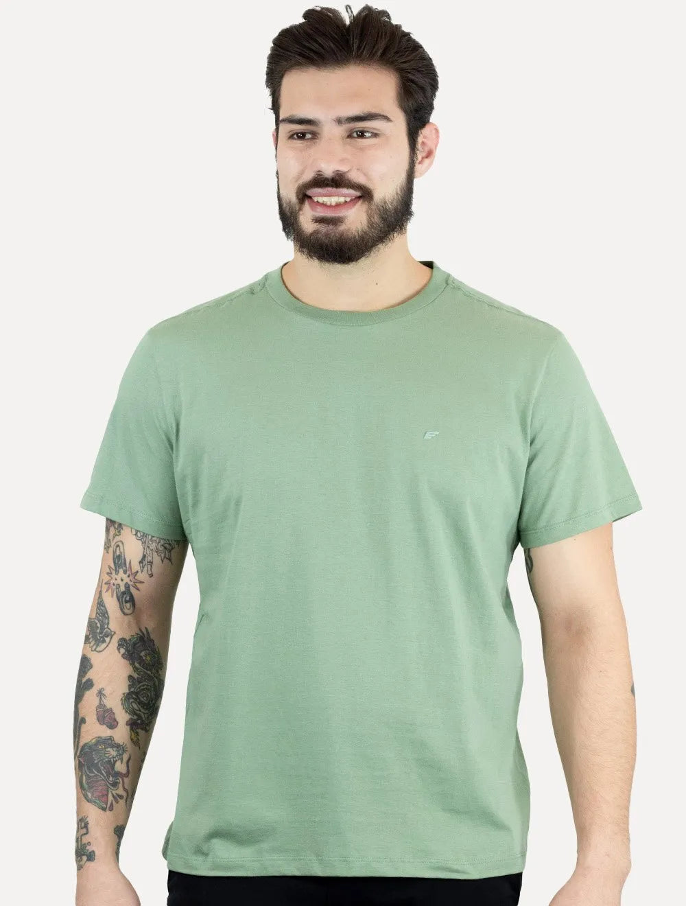 Camiseta Ellus Masculina Cotton Fine Easa Duocolor Verde Claro