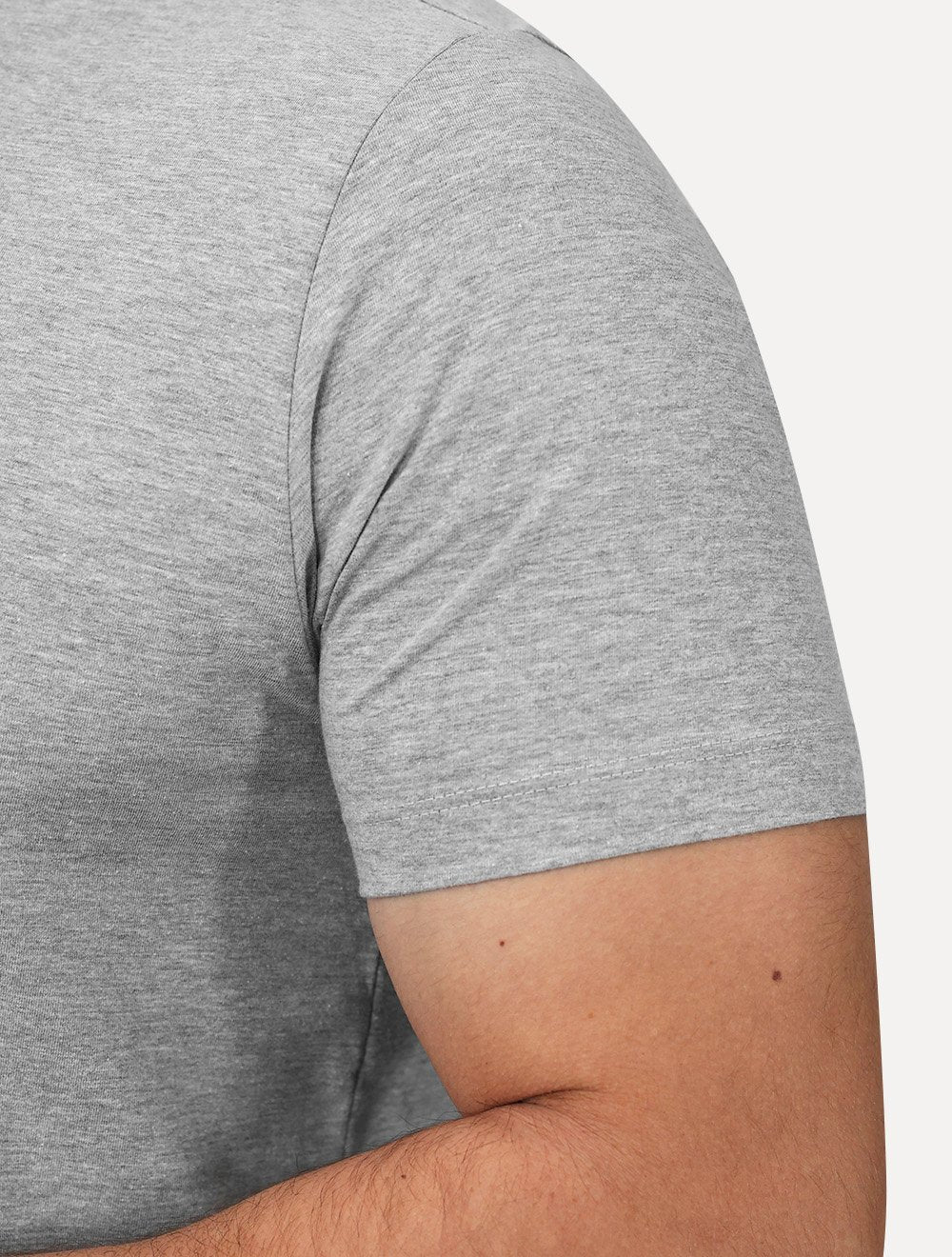 Camiseta Aramis Masculina Basic Lisa Mono Logo Cinza Mescla