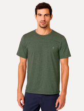 Camiseta Dudalina Masculina Crewneck Listrada Verde