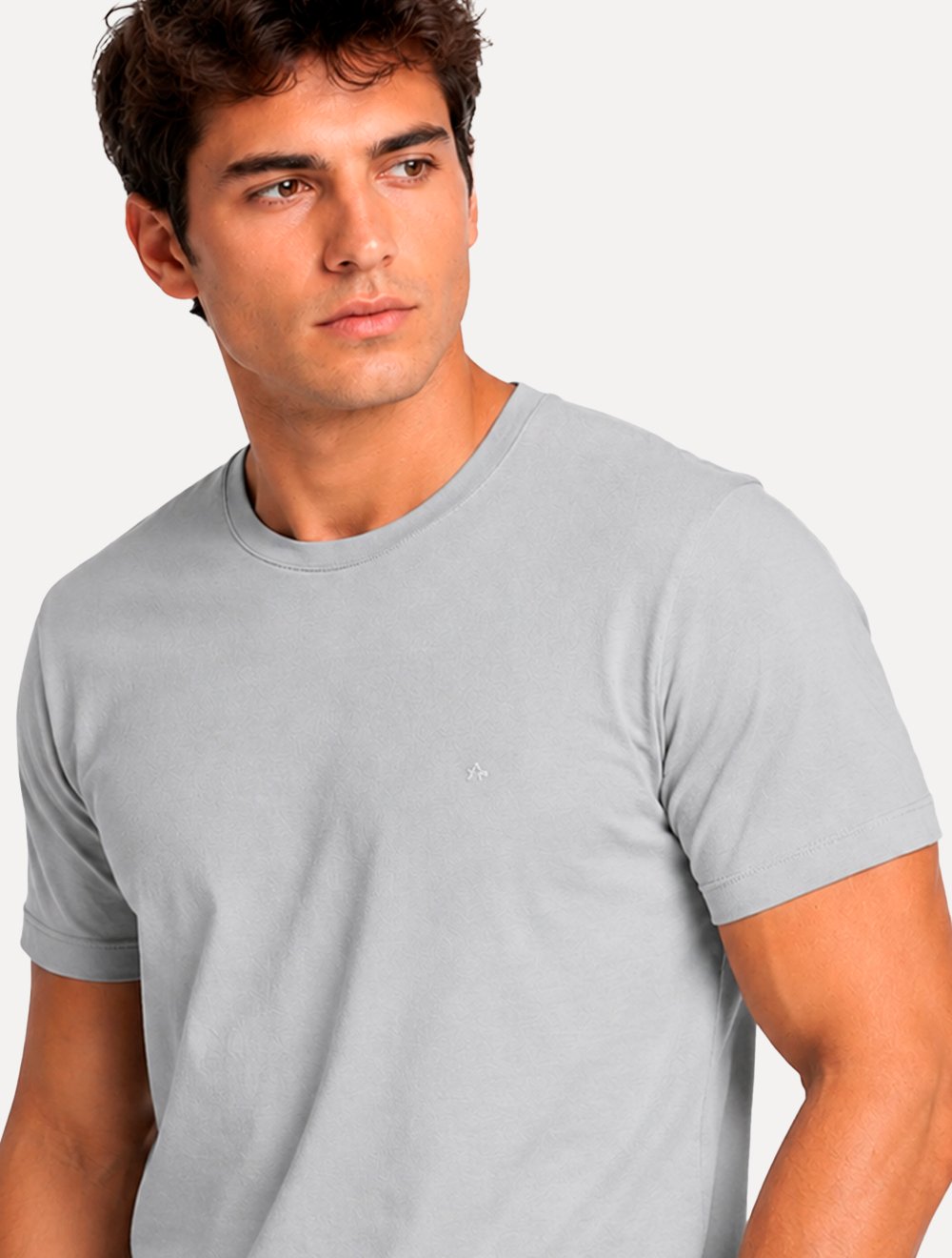 Camiseta Aramis Masculina Basic Lisa Mono Logo Cinza Claro