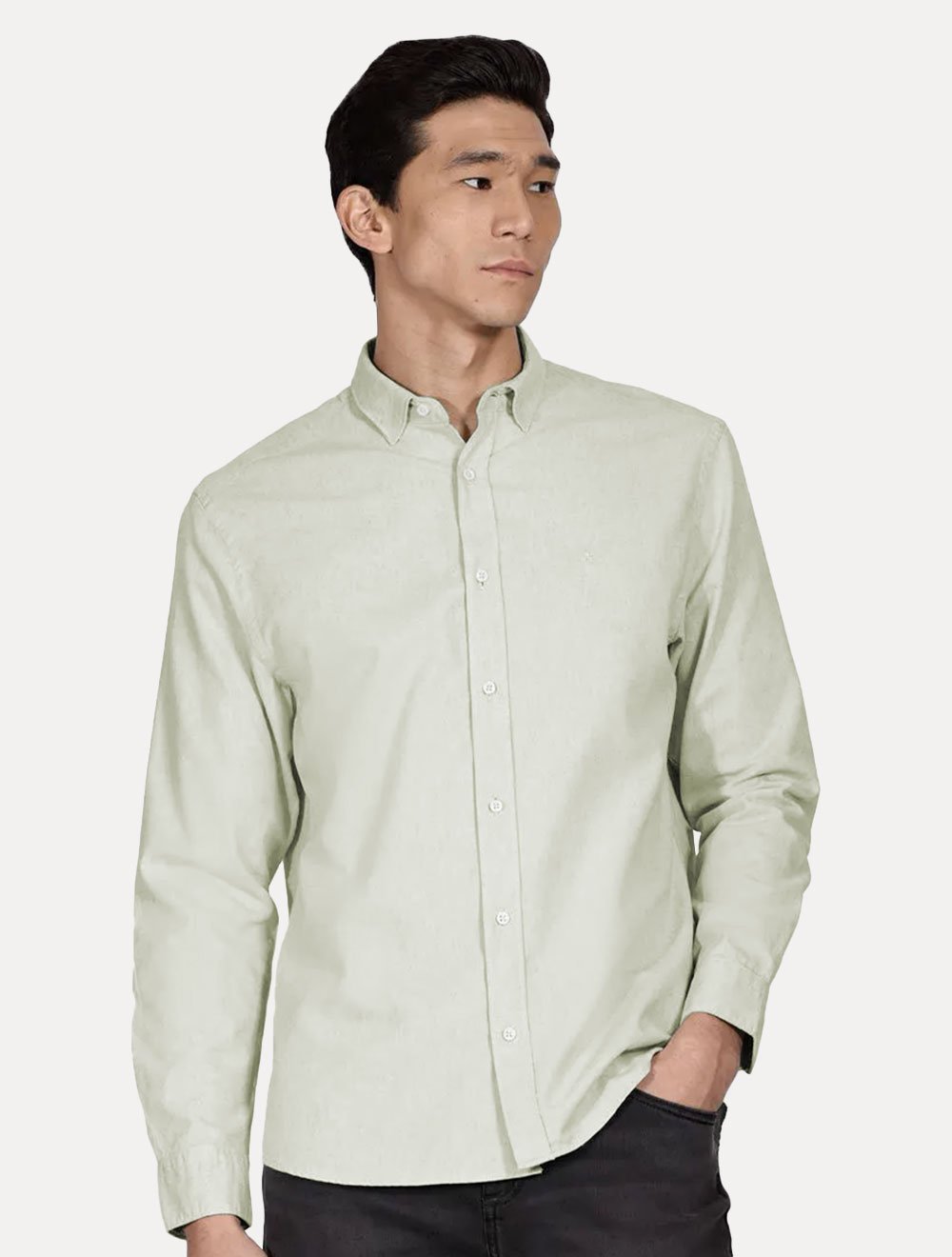 Camisa Aramis Masculina Slim Algodão Willis Verde Claro