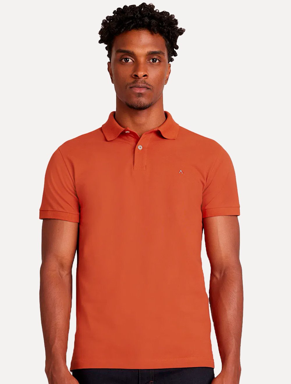 Polo Aramis Masculina Basic Piquet Terracota