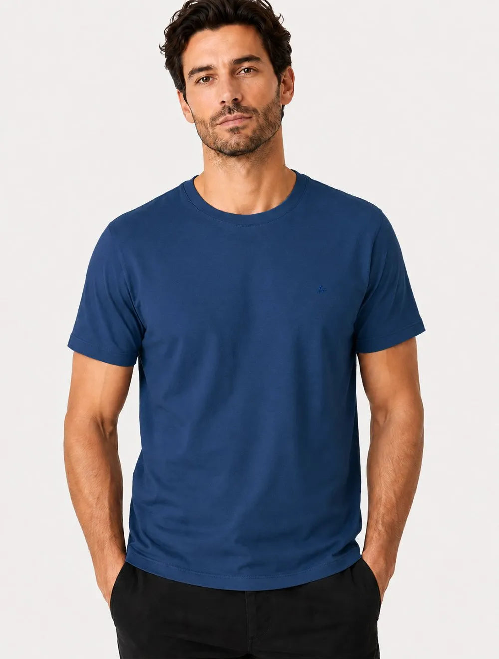 Camiseta Aramis Masculina Basic Lisa Mono Logo Azul Alumínio