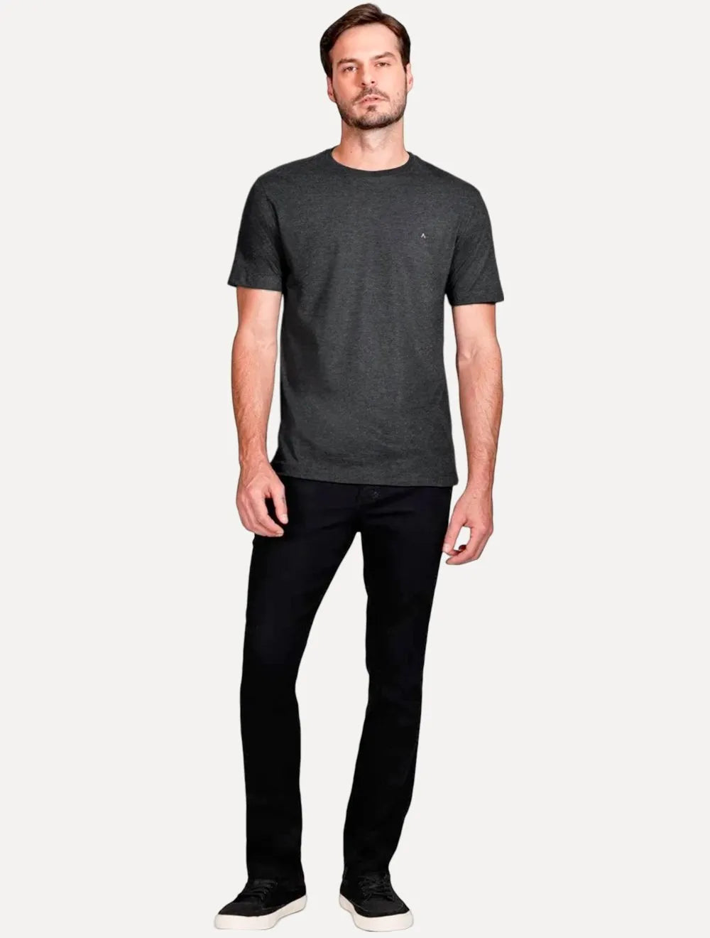 Camiseta Aramis Masculina Basic Lisa Grafite Mescla