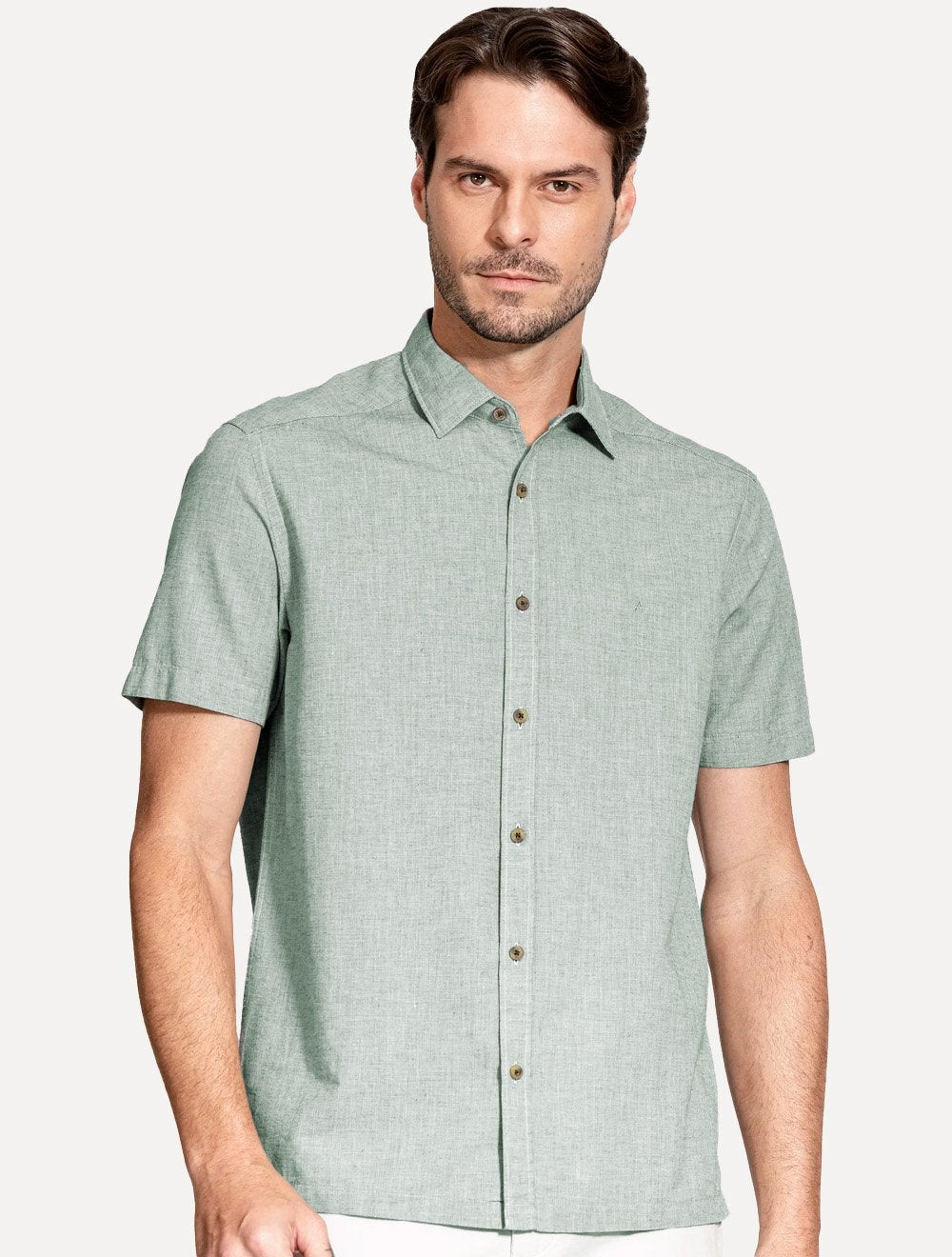 Camisa Aramis Masculina Regular Loop Flame Altino Verde Claro